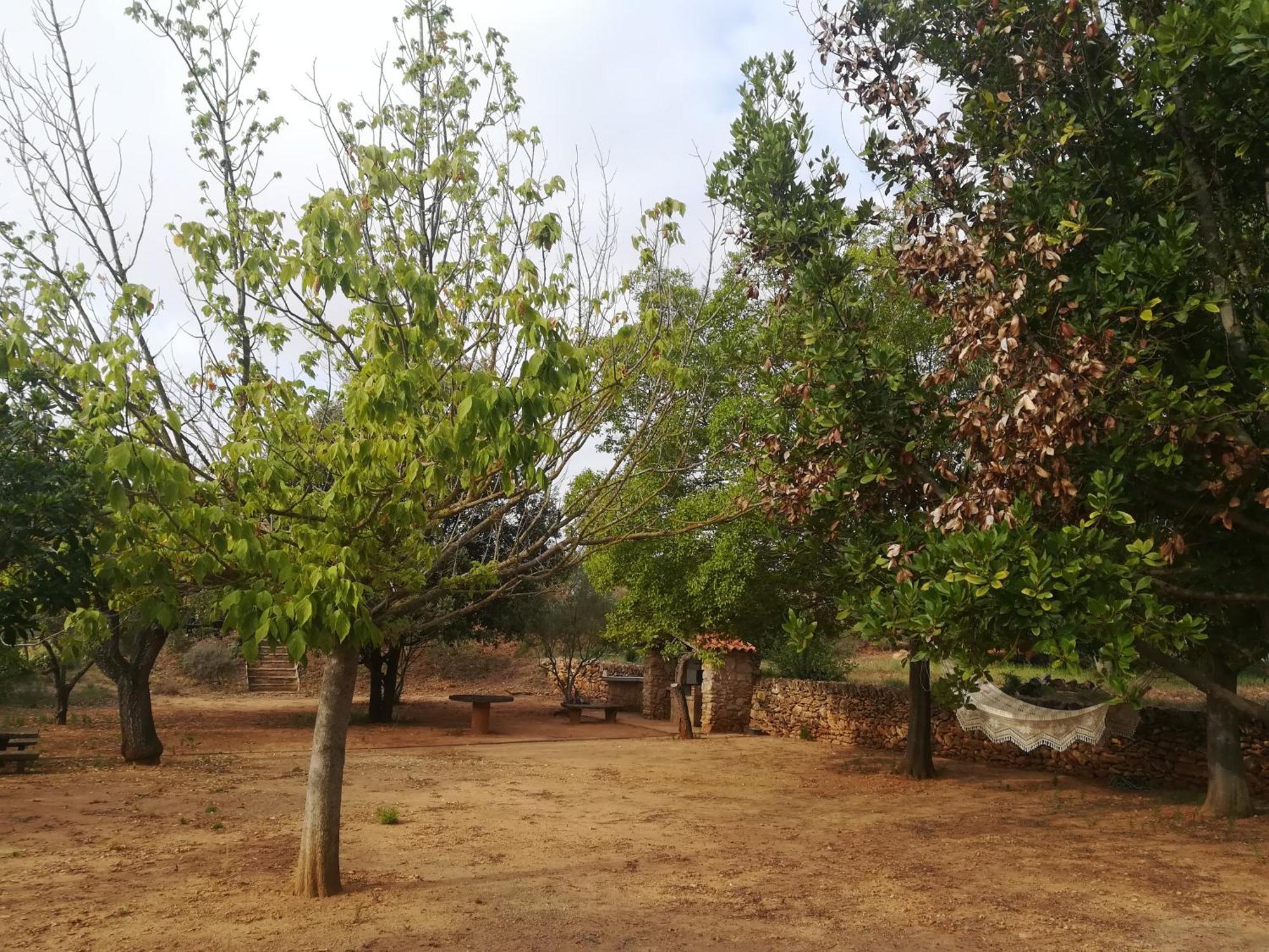 Mas De Paco, Chimenea, Barbacoa Y Piscina Vall dʼAlba
